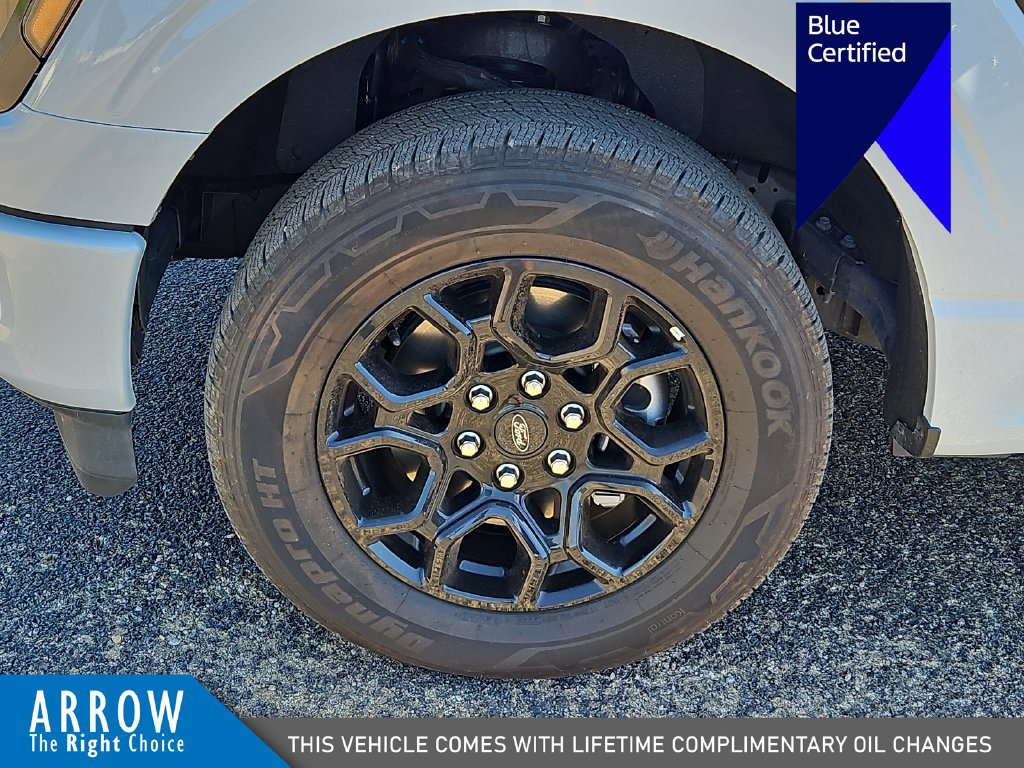 Certified 2025 Ford F150 STX RWD image 17
