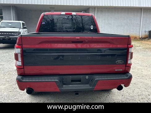 Used 2023 Ford F150 Platinum w/ Equipment Group 701A High image 6