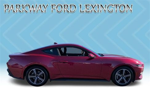 Used 2025 Ford Mustang EcoBoost image 4