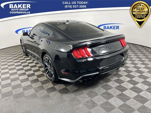 Used 2019 Ford Mustang EcoBoost w/ Equipment Group 101A image 7