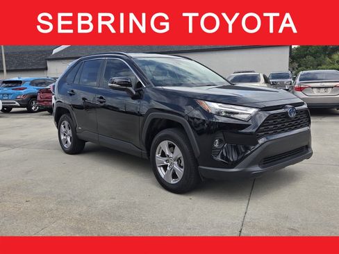 Certified 2024 Toyota RAV4 XLE image 1