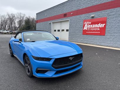 Used 2025 Ford Mustang Premium