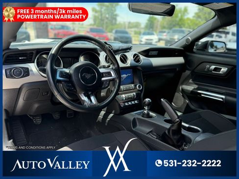 Used 2022 Ford Mustang GT w/ Equipment Group 301A RWD image 13