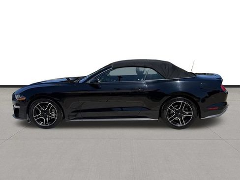 Used 2019 Ford Mustang Premium RWD image 8