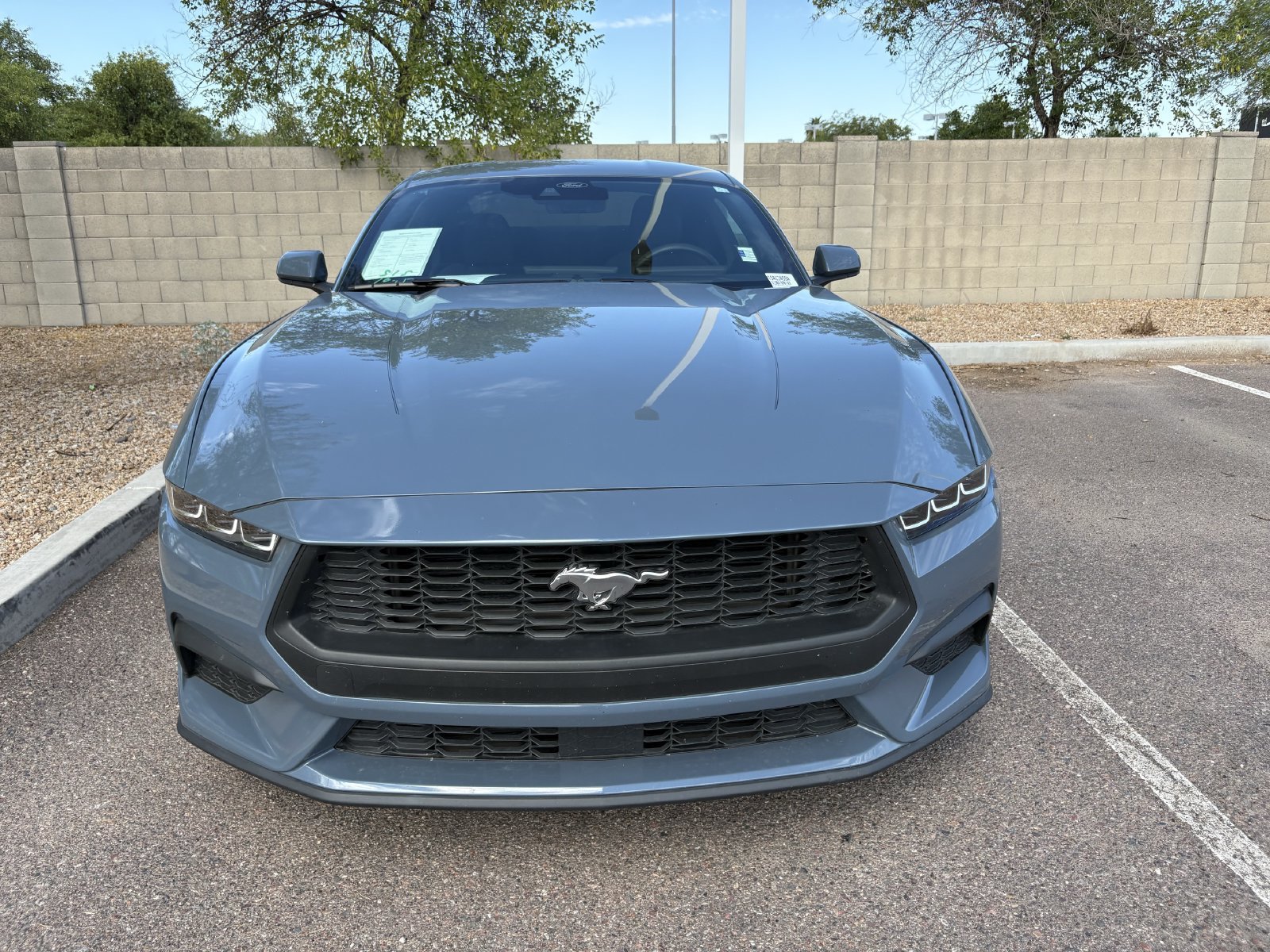 Used 2024 Ford Mustang Coupe RWD image 2