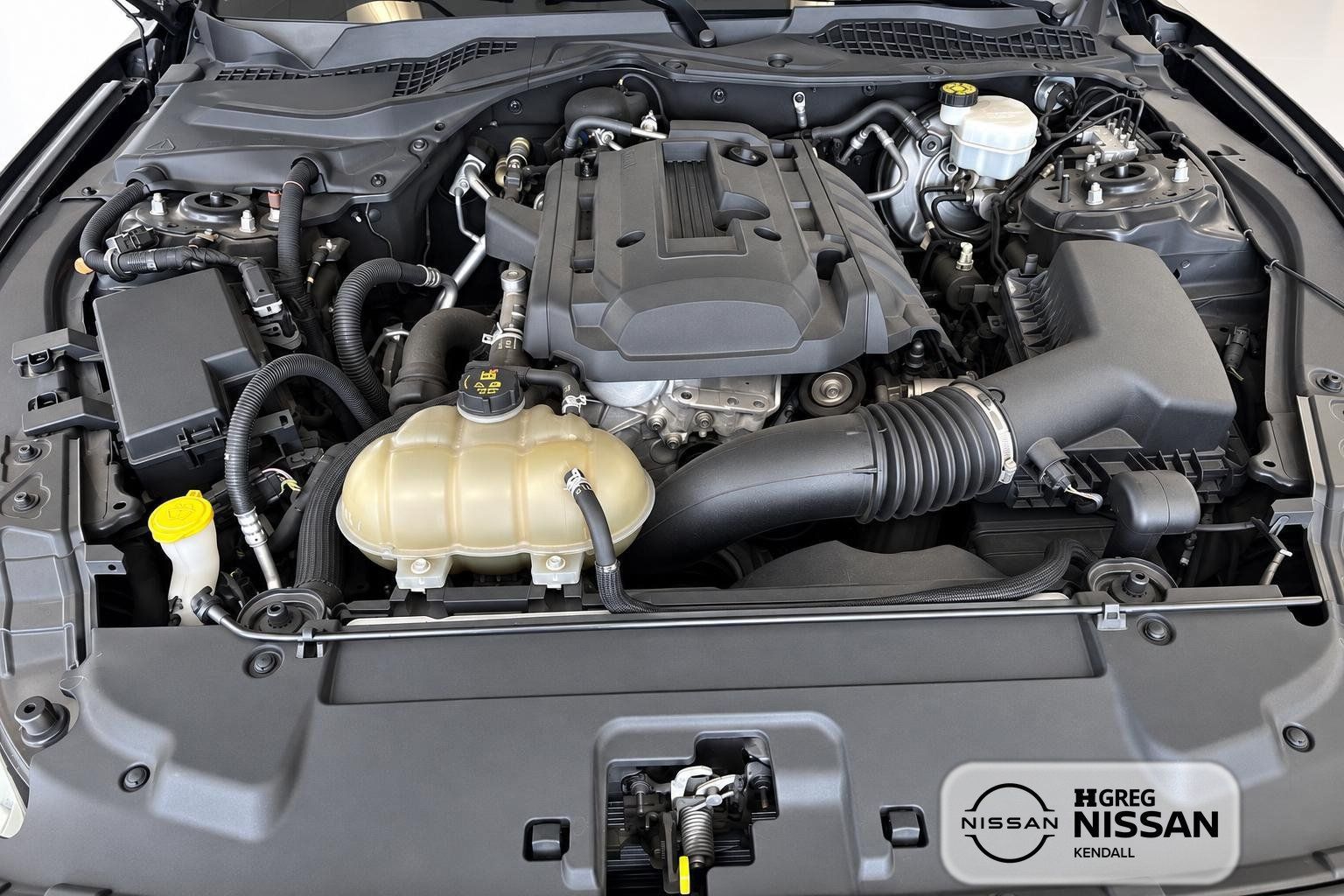 Used 2019 Ford Mustang Coupe RWD image 11