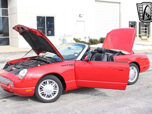 Used 2002 Ford Thunderbird image 15