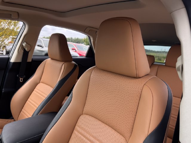 Used 2016 Lexus NX 200t FWD w/ Premium Package image 14
