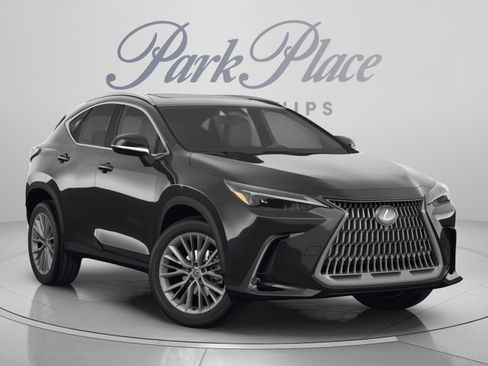Used 2024 Lexus NX 350 F Sport AWD/4WD image 10
