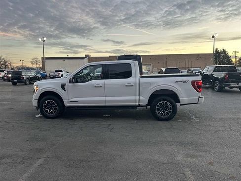 Used 2023 Ford F150 XLT w/ Equipment Group 302A High image 2