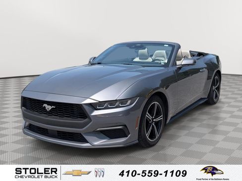 Used 2024 Ford Mustang Premium RWD image 1