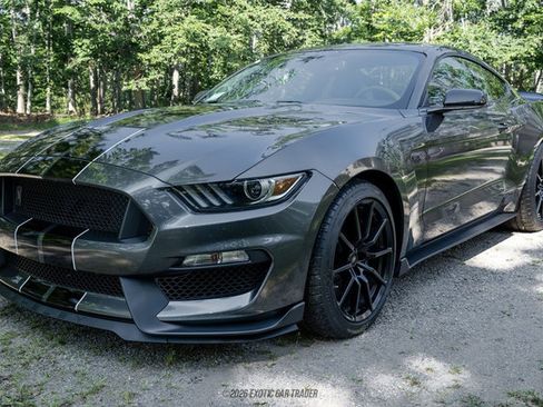 Used 2015 Ford Mustang Shelby GT350 RWD image 14