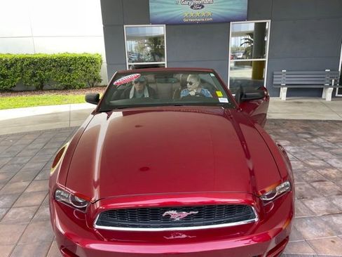 Used 2014 Ford Mustang Convertible w/ Equipment Group 102A RWD image 1