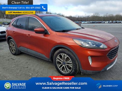 Used 2020 Ford Escape SEL image 5