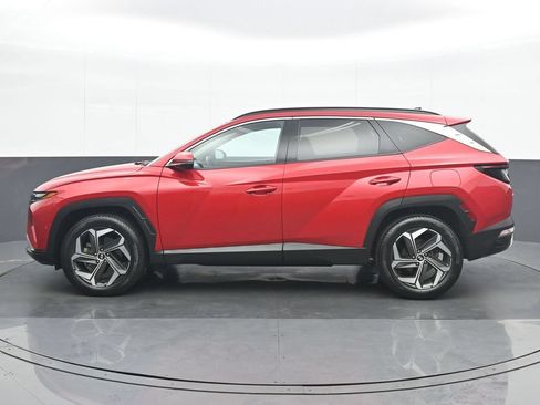 Used 2023 Hyundai Tucson Limited AWD/4WD image 3