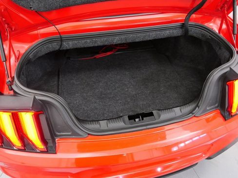 Used 2019 Ford Mustang GT Premium w/ Equipment Group 401A image 33