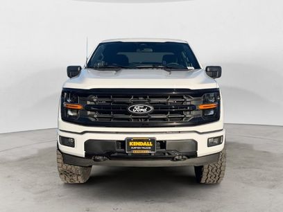 Used 2025 Ford F150 XLT w/ Equipment Group 301A Standard