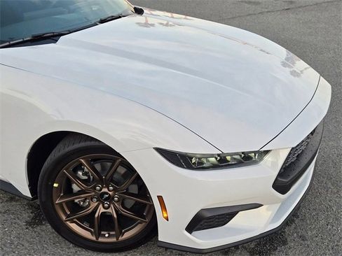 New 2026 Ford Mustang Coupe w/ Bronze Appearance Package image 4