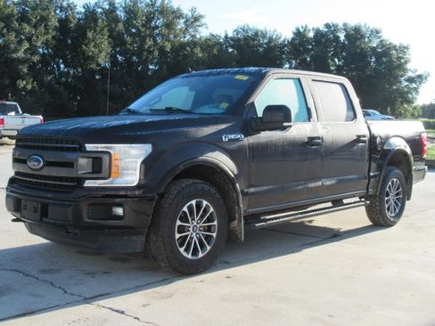 Used 2019 Ford F150 XLT w/ Equipment Group 302A Luxury AWD/4WD image 2