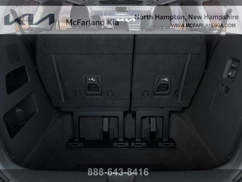 New 2026 Kia Carnival SX Prestige FWD image 20