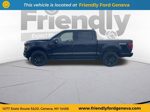 Used 2025 Ford F150 XLT w/ Equipment Group 303A High AWD/4WD image 8
