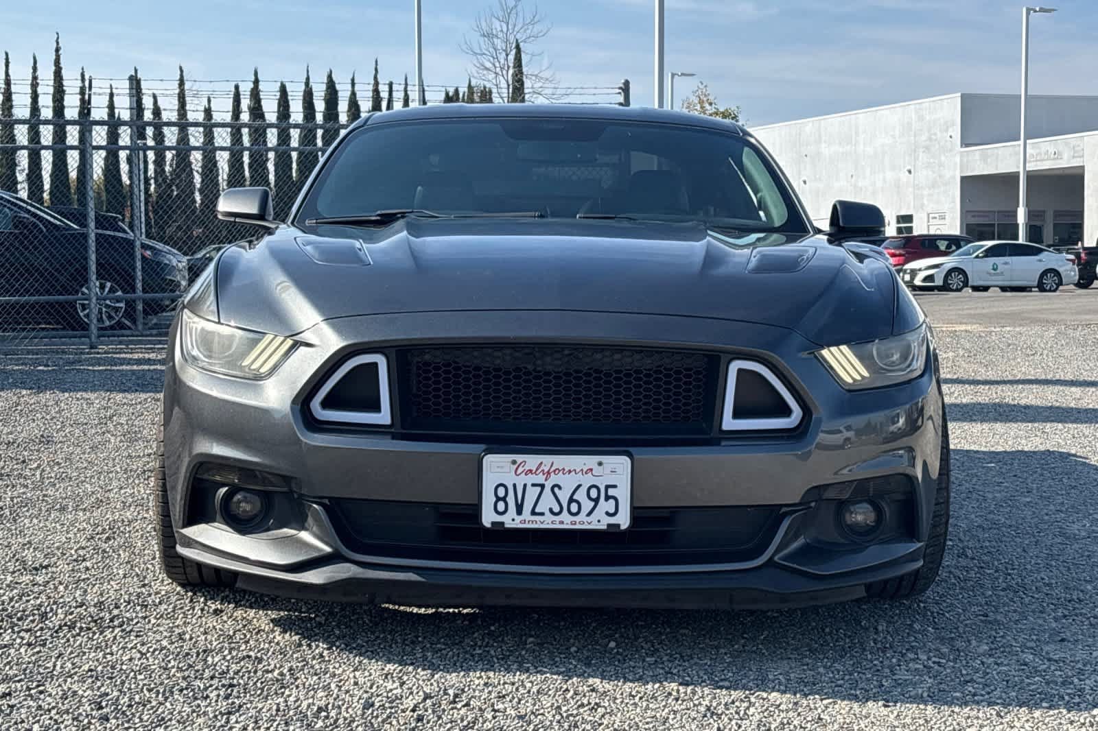 Used 2016 Ford Mustang GT Premium w/ Equipment Group 401A RWD image 10
