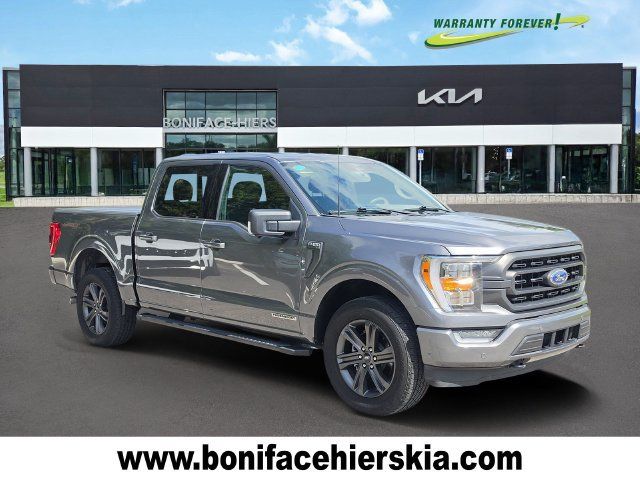 Used 2023 Ford F150 XLT w/ Equipment Group 302A High AWD/4WD image 1