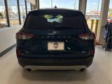Used 2020 Ford Escape SE image 6