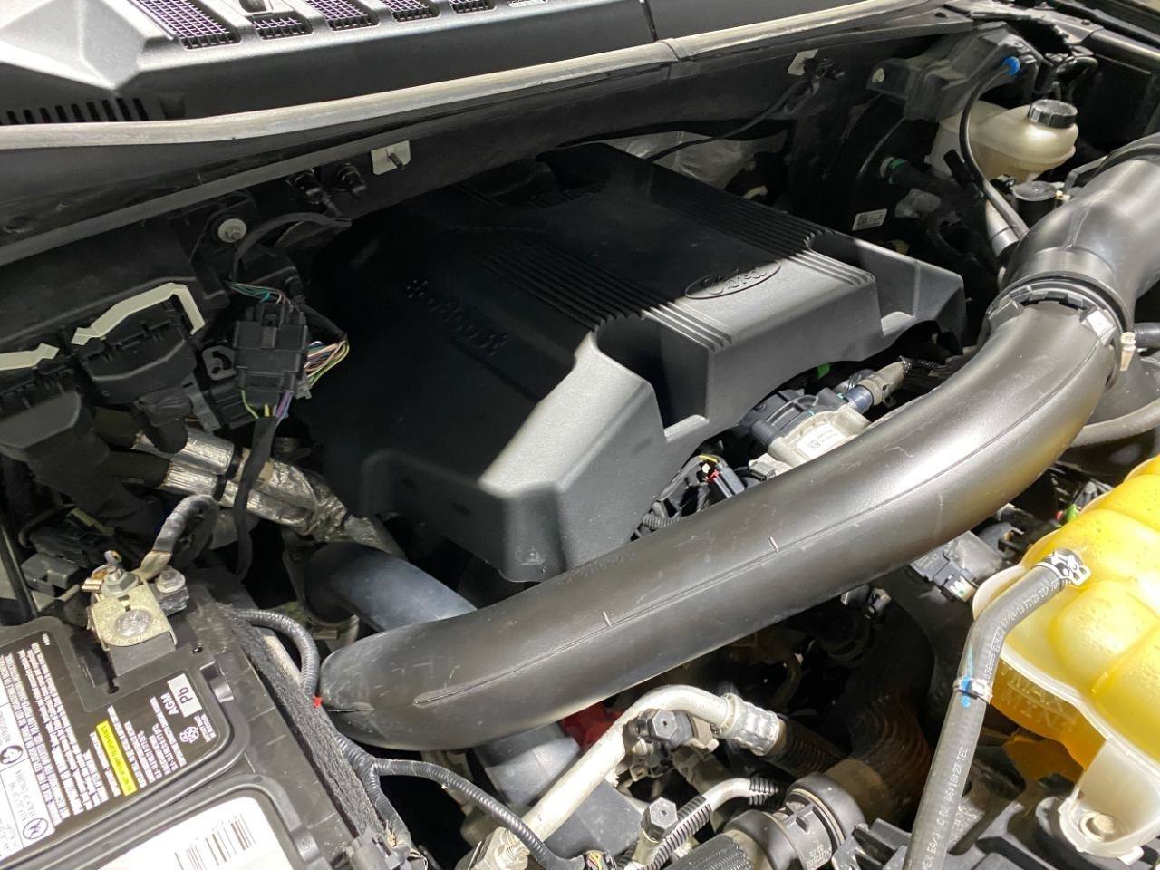Used 2019 Ford F150 XLT w/ Equipment Group 302A Luxury AWD/4WD image 25