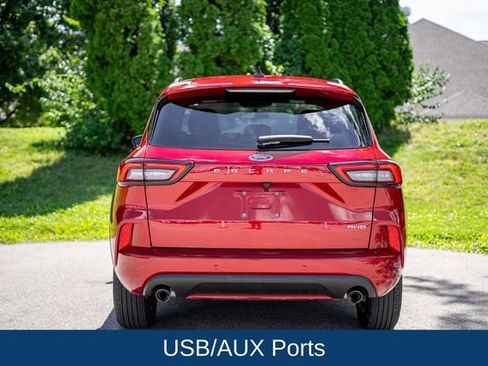 Used 2024 Ford Escape ST-Line w/ Tech Pack #1 AWD/4WD image 6
