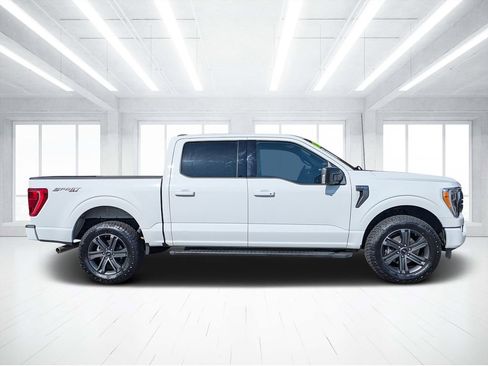 Used 2023 Ford F150 XLT w/ Equipment Group 302A High AWD/4WD image 2