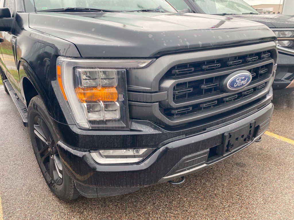 Used 2021 Ford F150 XLT w/ Equipment Group 302A High AWD/4WD image 3