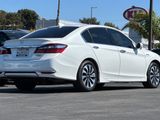 Used 2017 Honda Accord Touring image 4