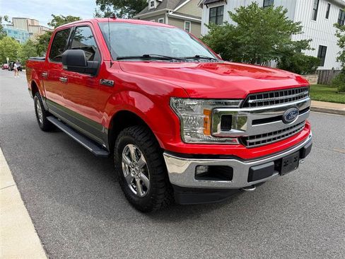 Used 2019 Ford F150 XLT w/ Equipment Group 302A Luxury AWD/4WD image 5