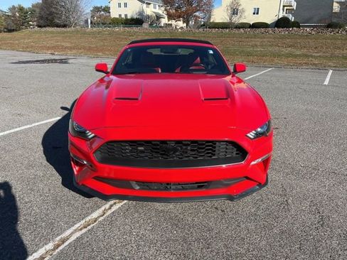 Certified 2019 Ford Mustang Premium w/ Equipment Group 201A image 2