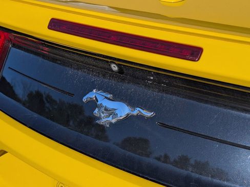 Used 2018 Ford Mustang Premium w/ Equipment Group 201A image 19