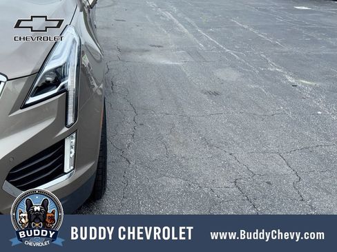 Used 2023 Cadillac XT5 Premium Luxury FWD image 10