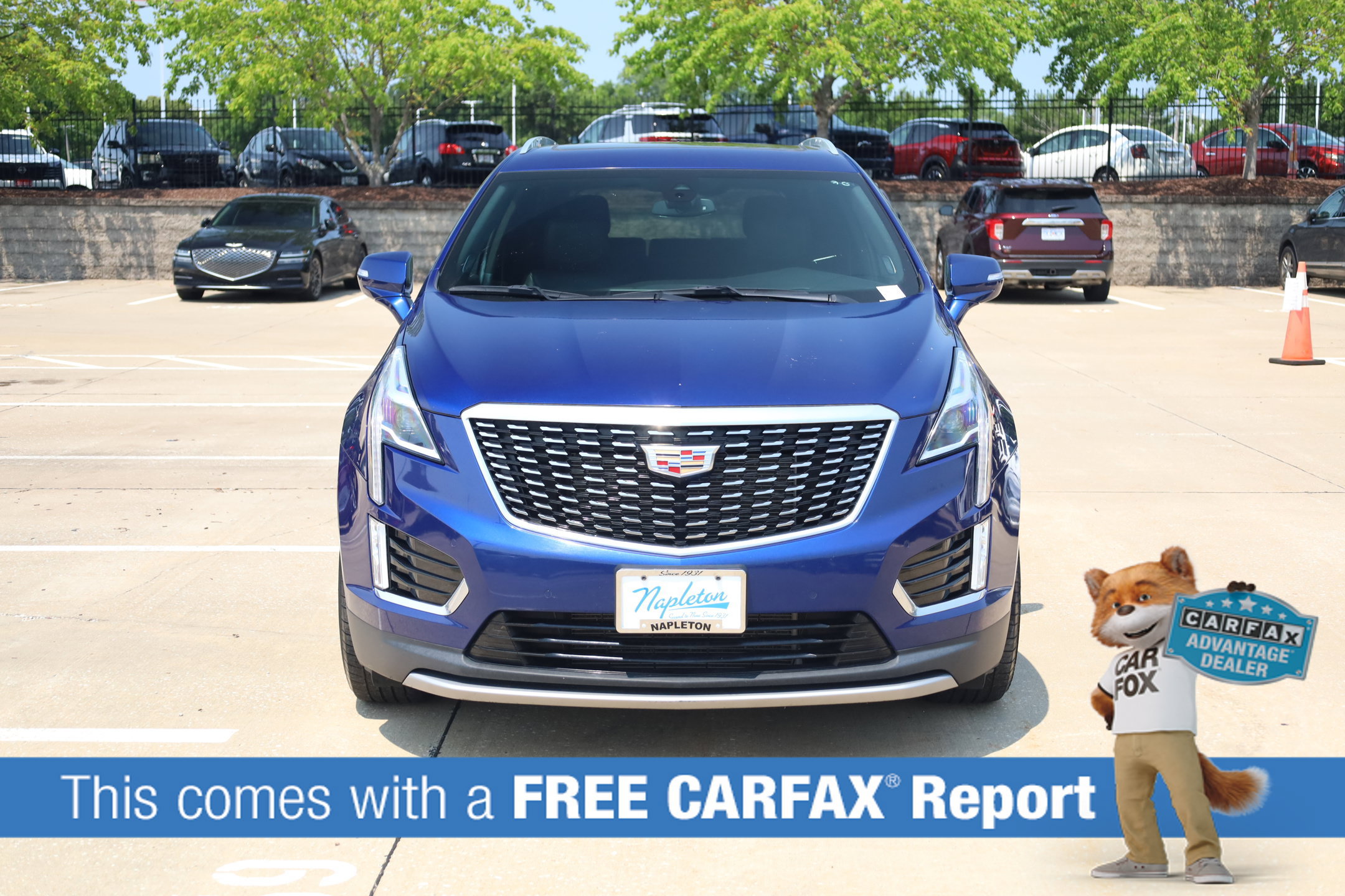 Used 2023 Cadillac XT5 Premium Luxury AWD/4WD image 2