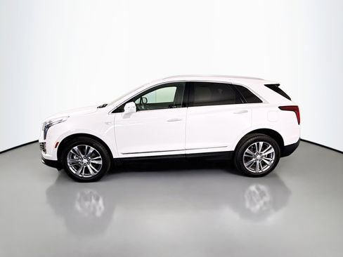 Used 2024 Cadillac XT5 Premium Luxury image 6
