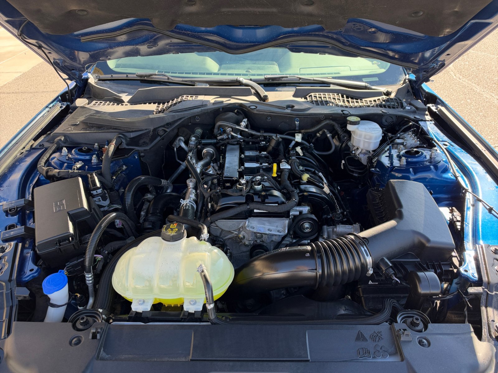 Used 2022 Ford Mustang Coupe w/ Equipment Group 101A RWD image 21