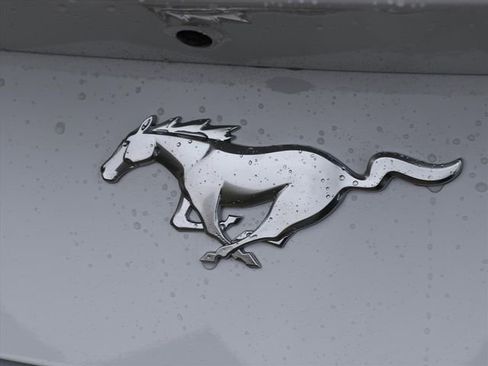 New 2026 Ford Mustang Coupe image 13