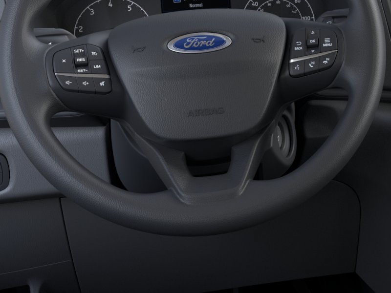 Used 2025 Ford Transit 250 Low Roof RWD image 12