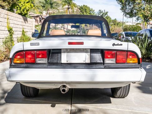 Used 1989 Alfa Romeo Spider Graduate image 17