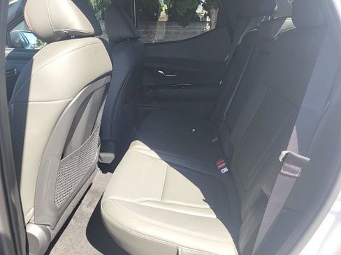 New 2025 Hyundai Santa Cruz Limited image 18