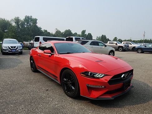 Used 2019 Ford Mustang Premium w/ Equipment Group 201A RWD image 7