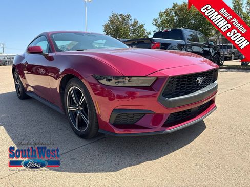 Used 2025 Ford Mustang Coupe RWD image 1