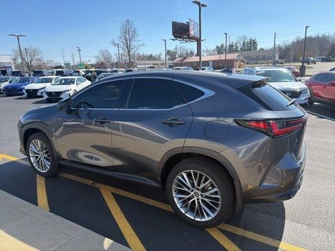 Used 2024 Lexus NX 350h AWD w/ Vision Package image 6