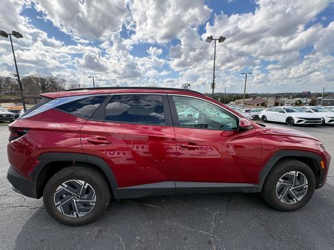 Used 2025 Hyundai Tucson Blue image 5