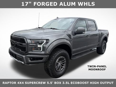 Used 2019 Ford F150 Raptor w/ Equipment Group 802A Luxury AWD/4WD image 1