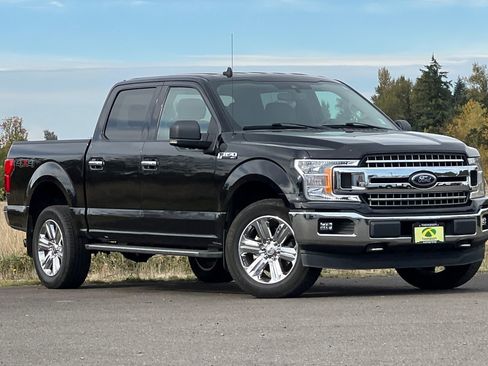 Used 2019 Ford F150 XLT w/ Equipment Group 302A Luxury image 2